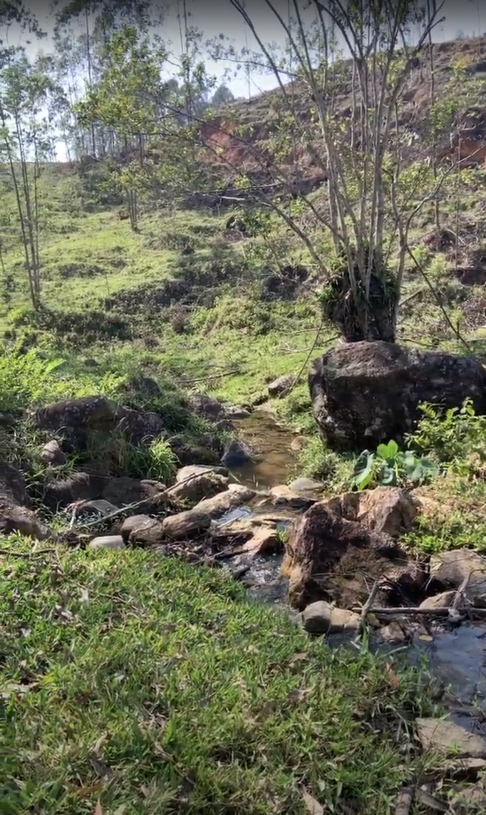 Terreno na Grande Florianópolis - Imagem 5