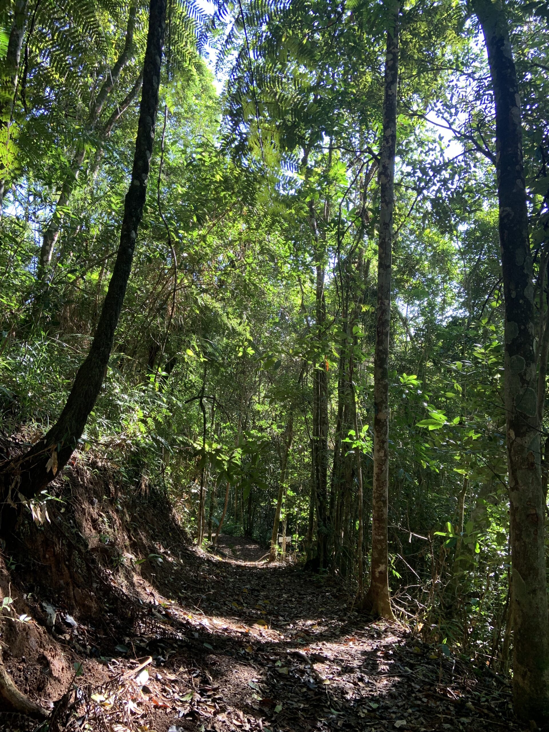 Terreno na Grande Florianópolis