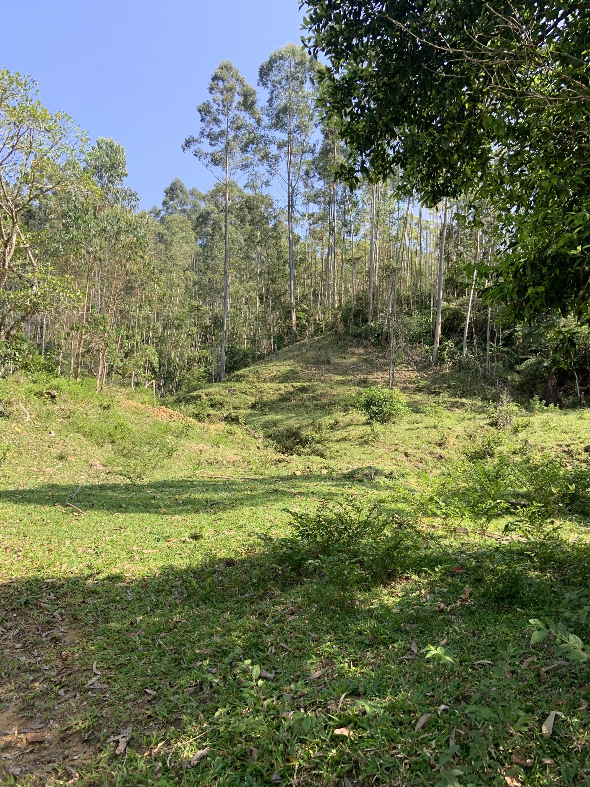 Terreno na Grande Florianópolis - Imagem 4