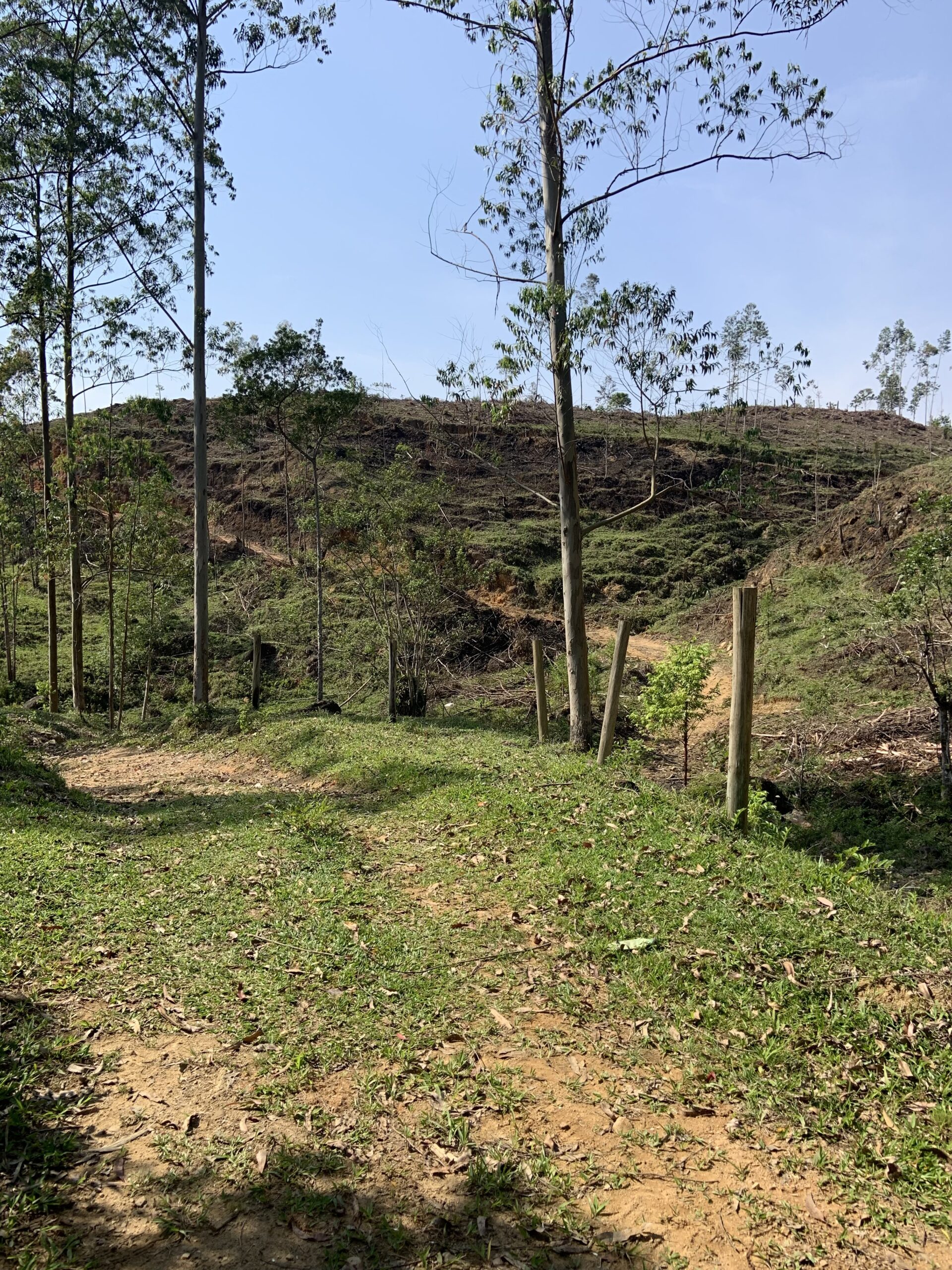 Terreno na Grande Florianópolis - Imagem 2