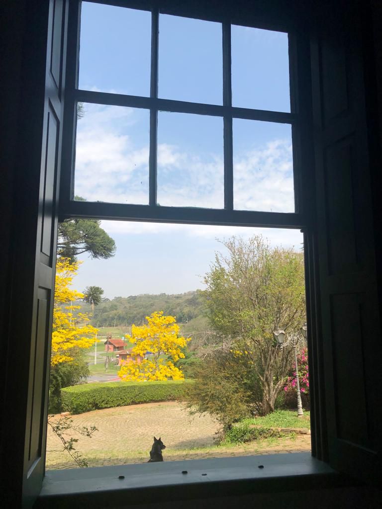 Terreno em Curitiba - Imagem 8