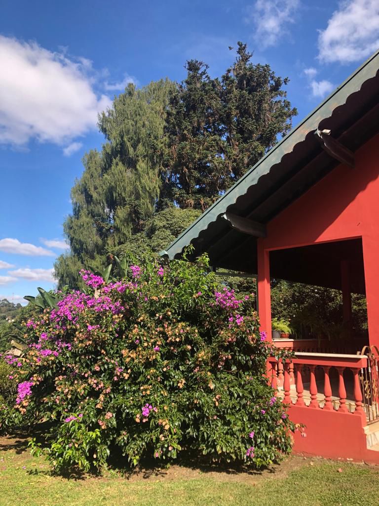 Terreno em Curitiba - Imagem 2