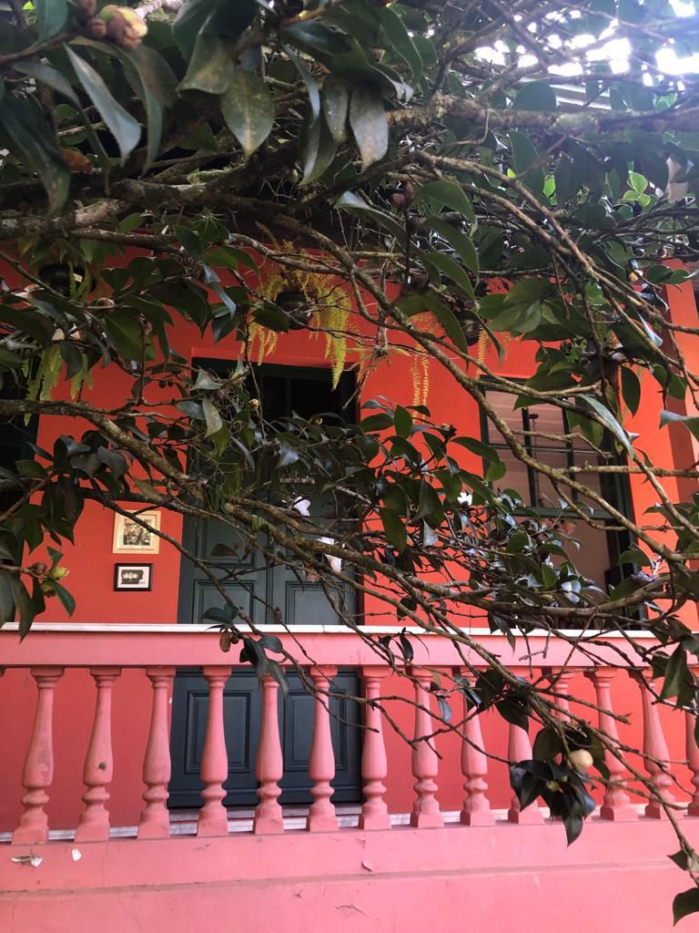 Terreno em Curitiba - Imagem 3