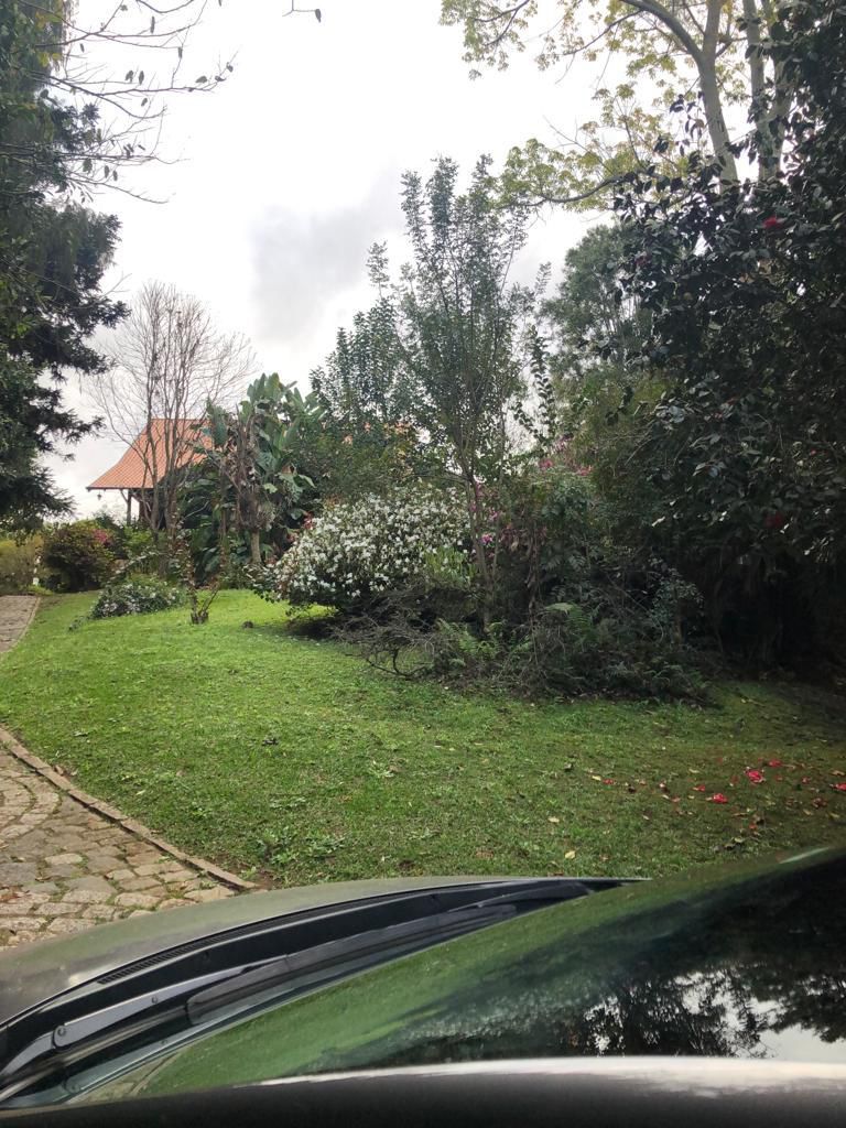 Terreno em Curitiba - Imagem 5